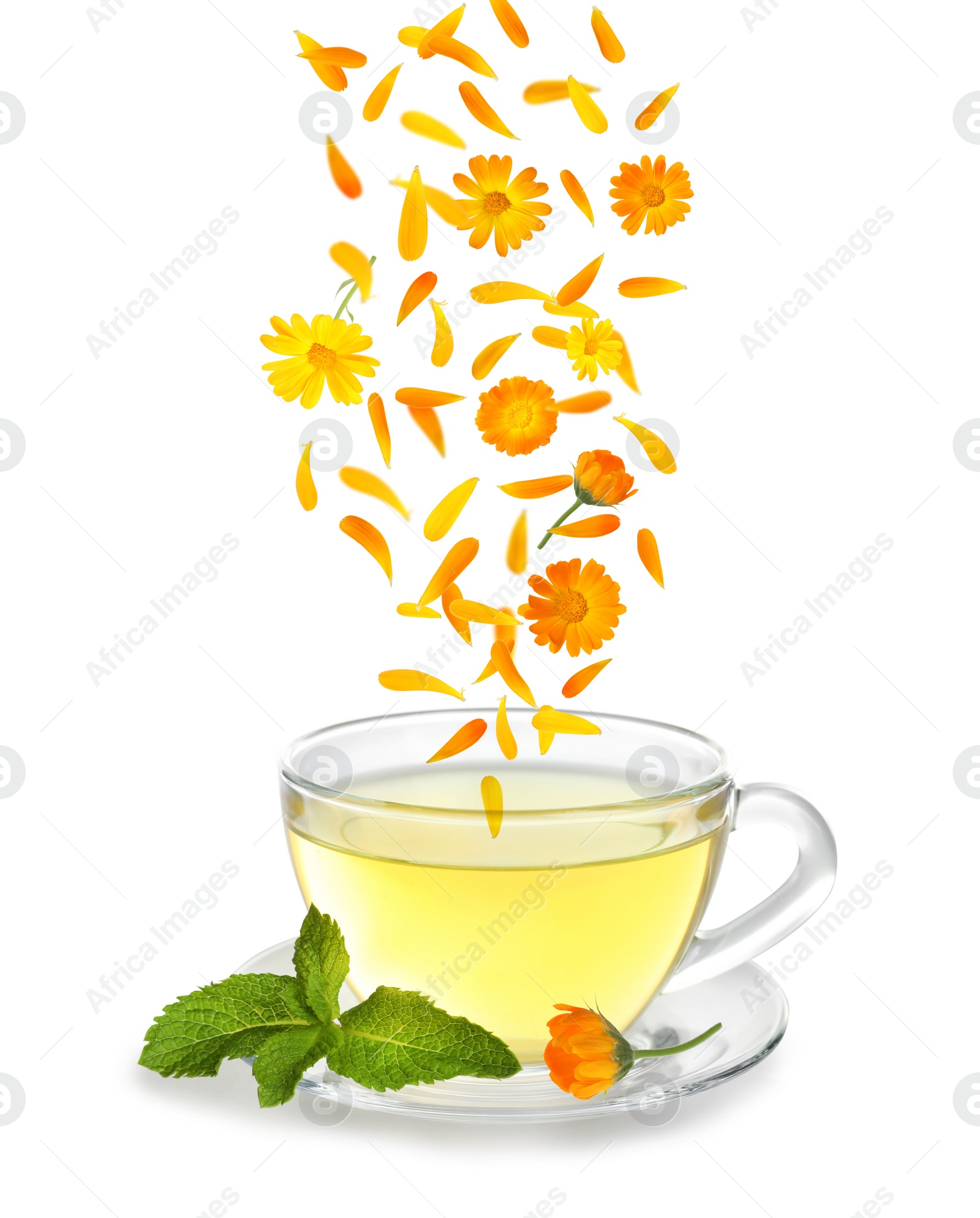 Image of Beautiful calendula flowers and petals falling into cup of freshly brewed tea on white background