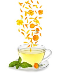 Image of Beautiful calendula flowers and petals falling into cup of freshly brewed tea on white background