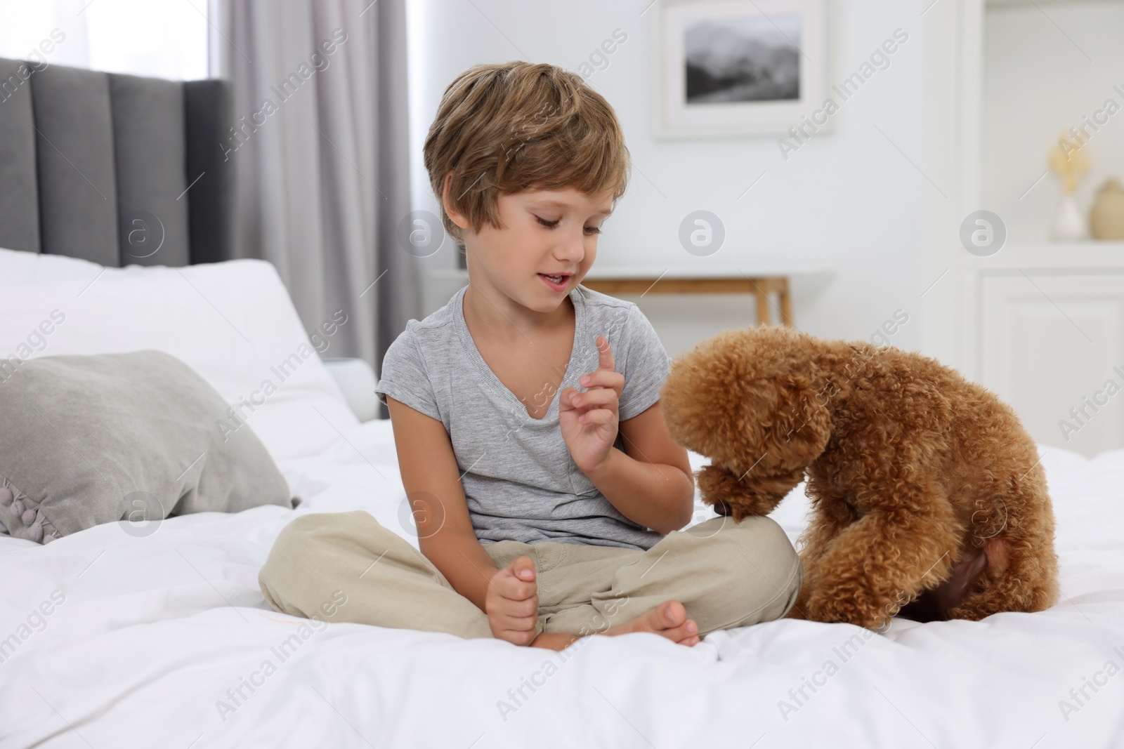 Photo of Little child and cute puppy on bed at home. Lovely pet