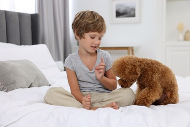 Little child and cute puppy on bed at home. Lovely pet