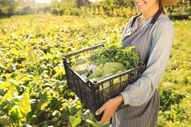 Woman with crate of different fresh ripe vegetables on farm, closeup