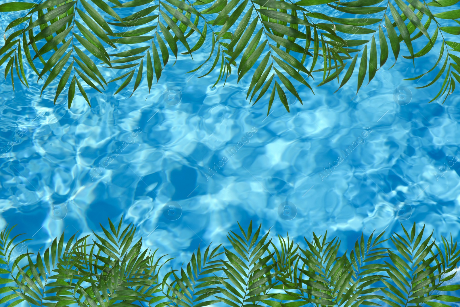 Image of View of beautiful green tropical leaves and outdoor swimming pool as background