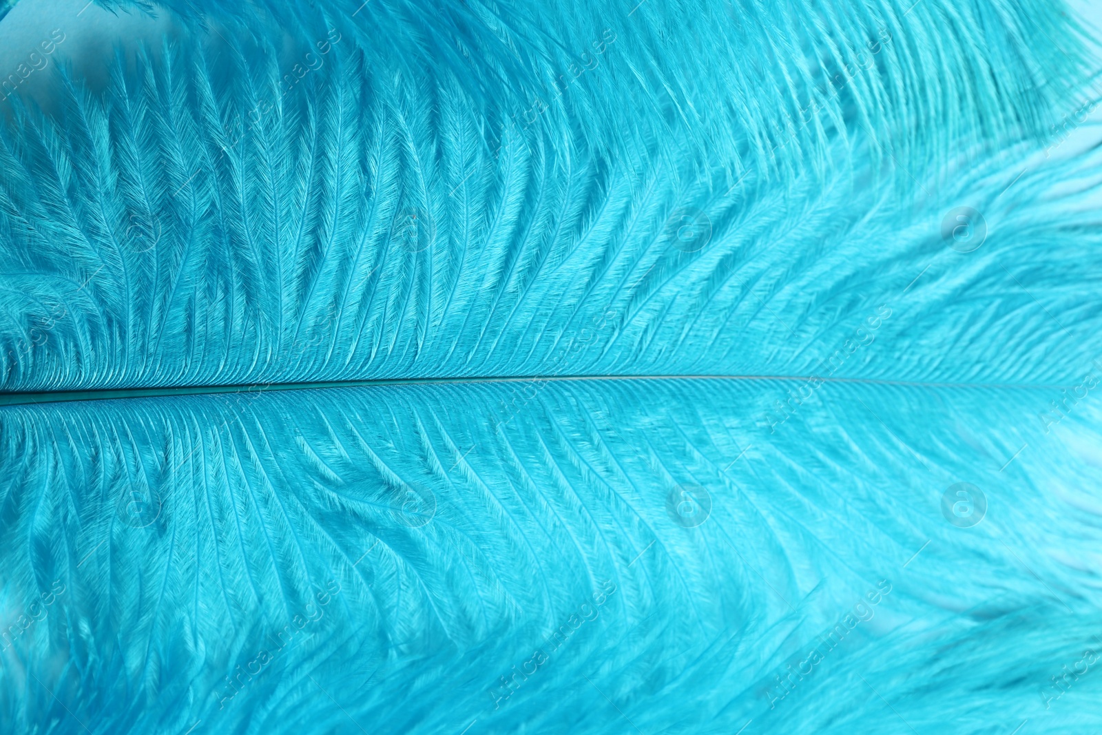 Photo of Beautiful light blue feathers as background, closeup