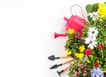 Blooming flowers and gardening equipment on white background, top view