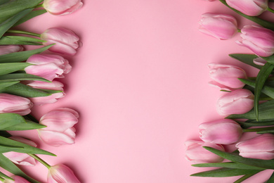 Photo of Beautiful spring tulips on light pink background, flat lay. Space for text