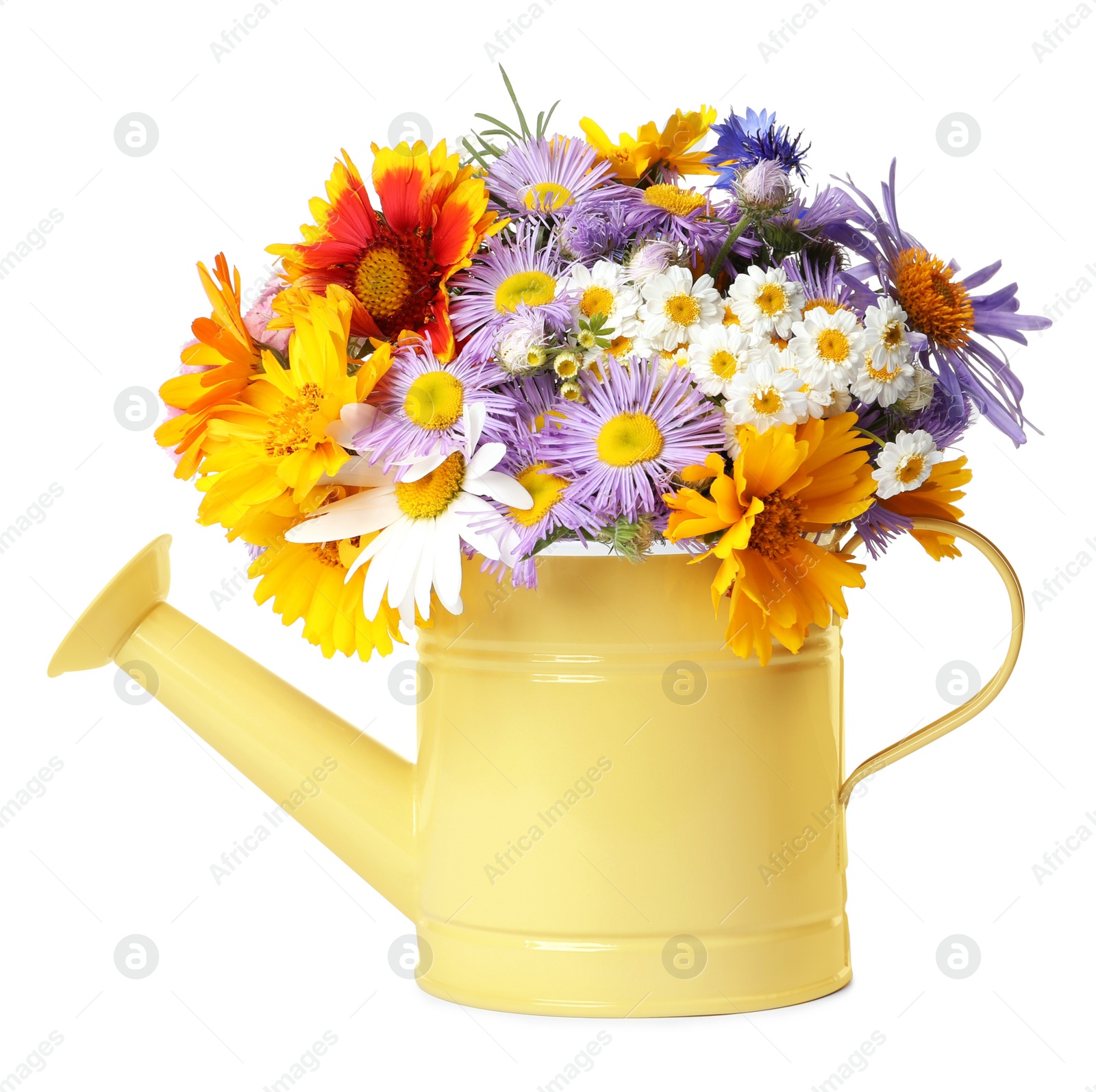 Photo of Yellow watering can with beautiful flowers isolated on white