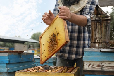 Photo of Beekeeper taking frame from hive at apiary, closeup. Harvesting honey