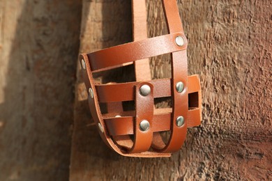 Photo of Brown dog muzzle hanging near wooden fence, closeup