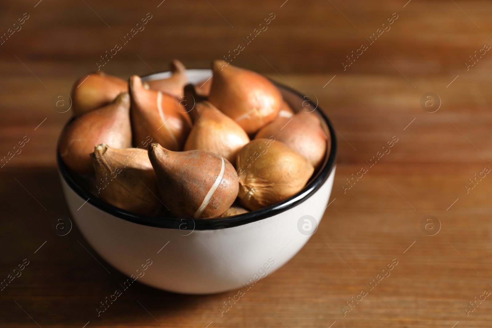 Photo of Tulip bulbs in bowl on wooden table