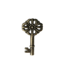 Photo of Bronze vintage ornate key on white background