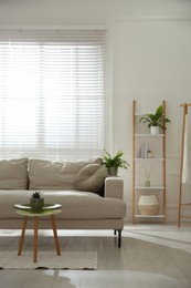 Stylish living room interior with comfortable grey sofa and plants