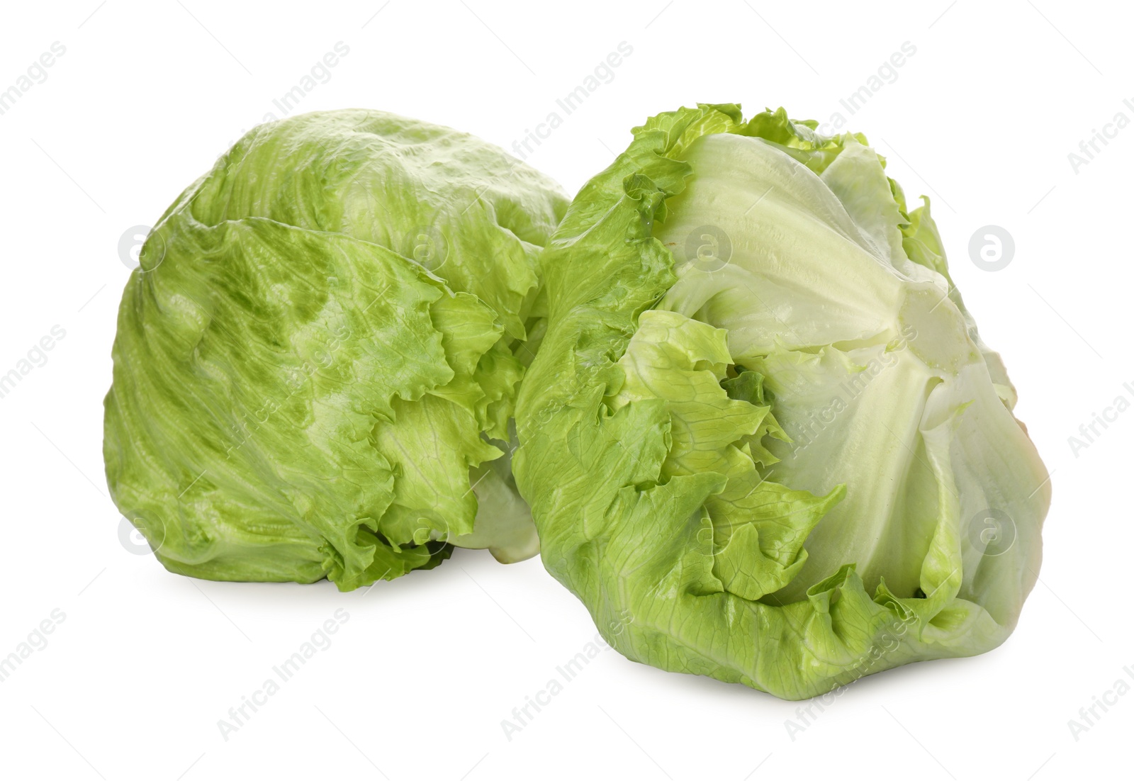 Photo of Fresh green iceberg lettuces isolated on white