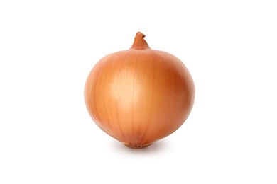 Photo of One ripe onion bulb isolated on white