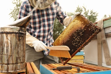 Photo of Beekeeper brushing bees from hive frame at apiary, closeup. Harvesting honey