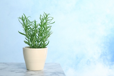 Photo of Pot with fresh rosemary on table against color background