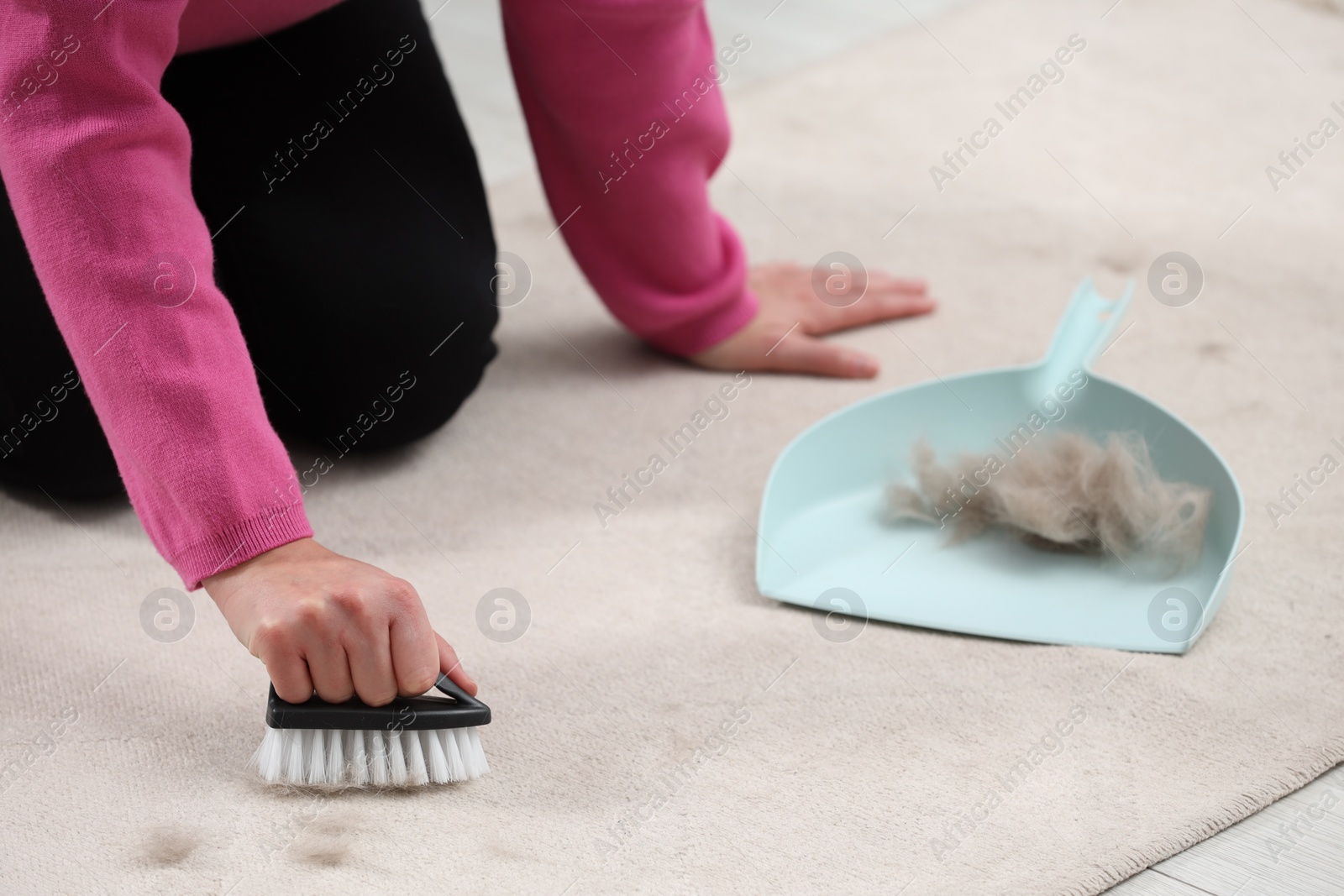 Photo of Woman with brush removing pet hair from carpet at home, closeup