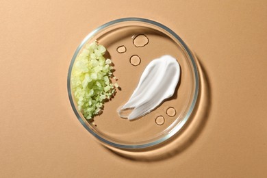 Petri dish with different samples on beige background, top view