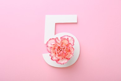 Paper number 5 and beautiful carnation flower on pink background, top view