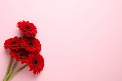 Bouquet of beautiful red gerbera flowers on pink background, top view. Space for text