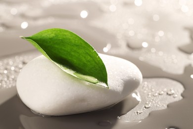 Wet spa stone and green leaf on grey background