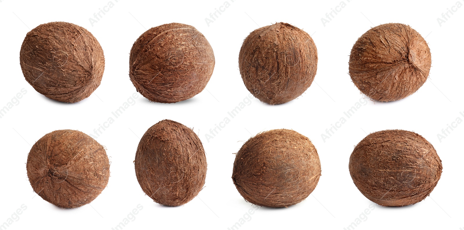 Image of Set with whole ripe coconuts on white background. Banner design