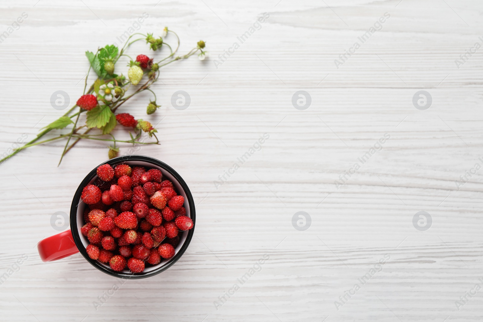 Photo of Fresh wild strawberries in mug near stems with flowers and leaves on white wooden table, flat lay. Space for text