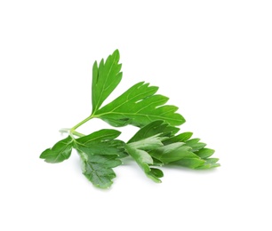 Photo of Fresh green parsley on white background