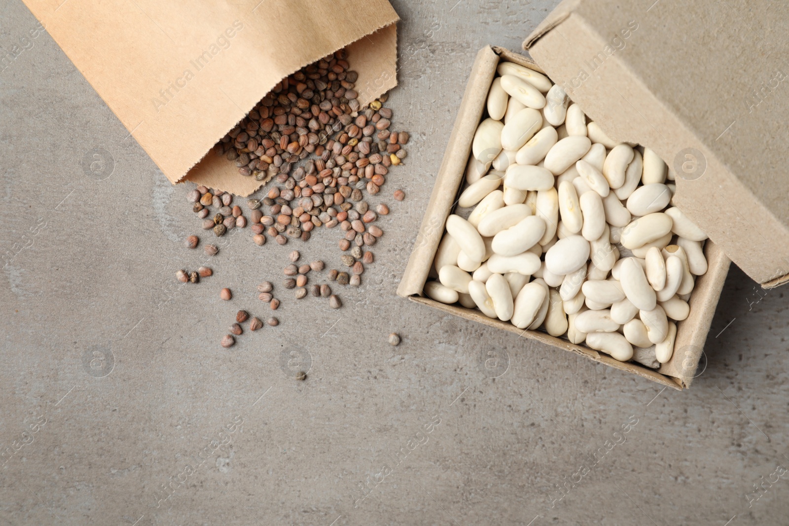 Photo of Different vegetable seeds on grey table, flat lay