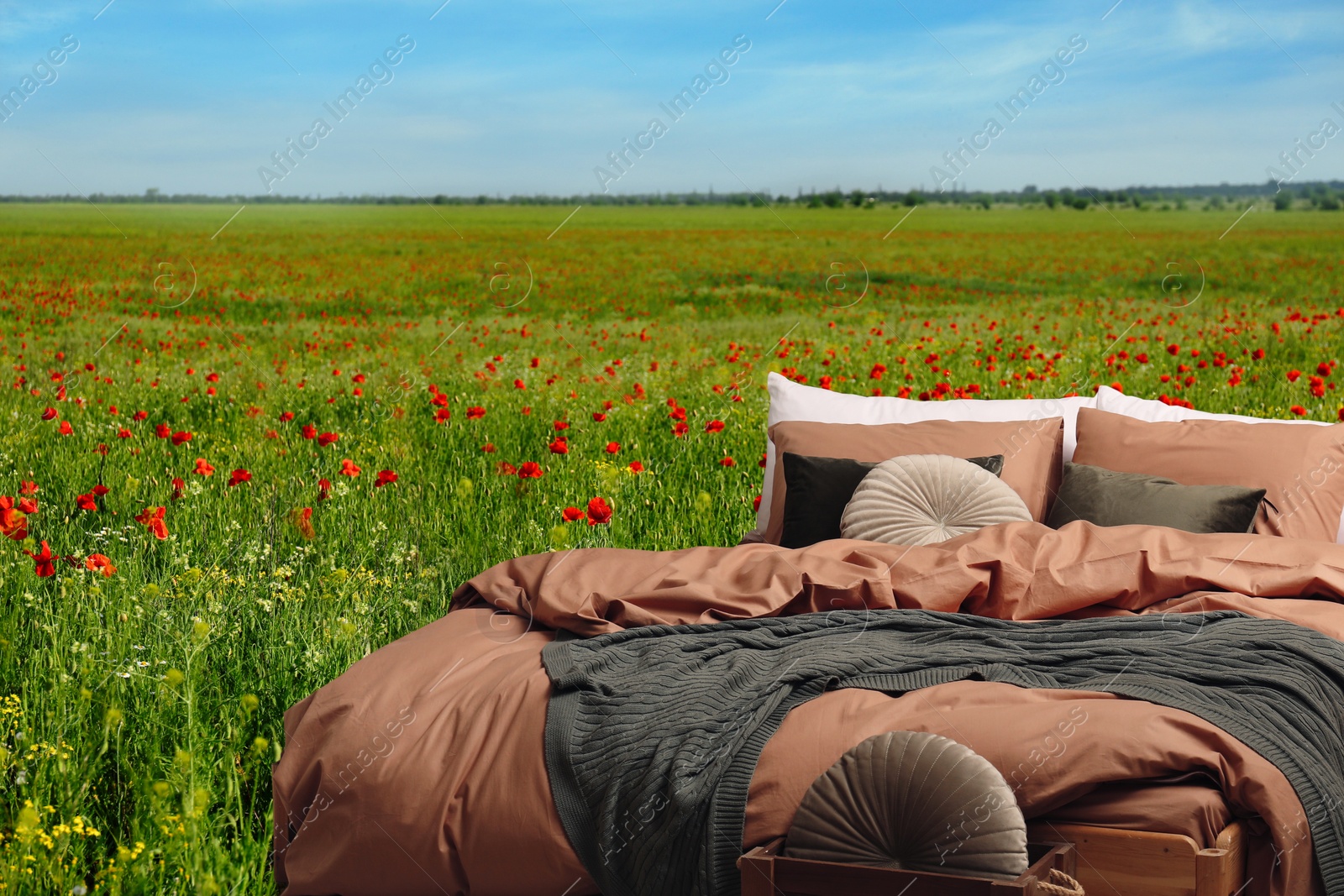 Image of Comfortable bed with soft pillows in in poppy field on sunny day