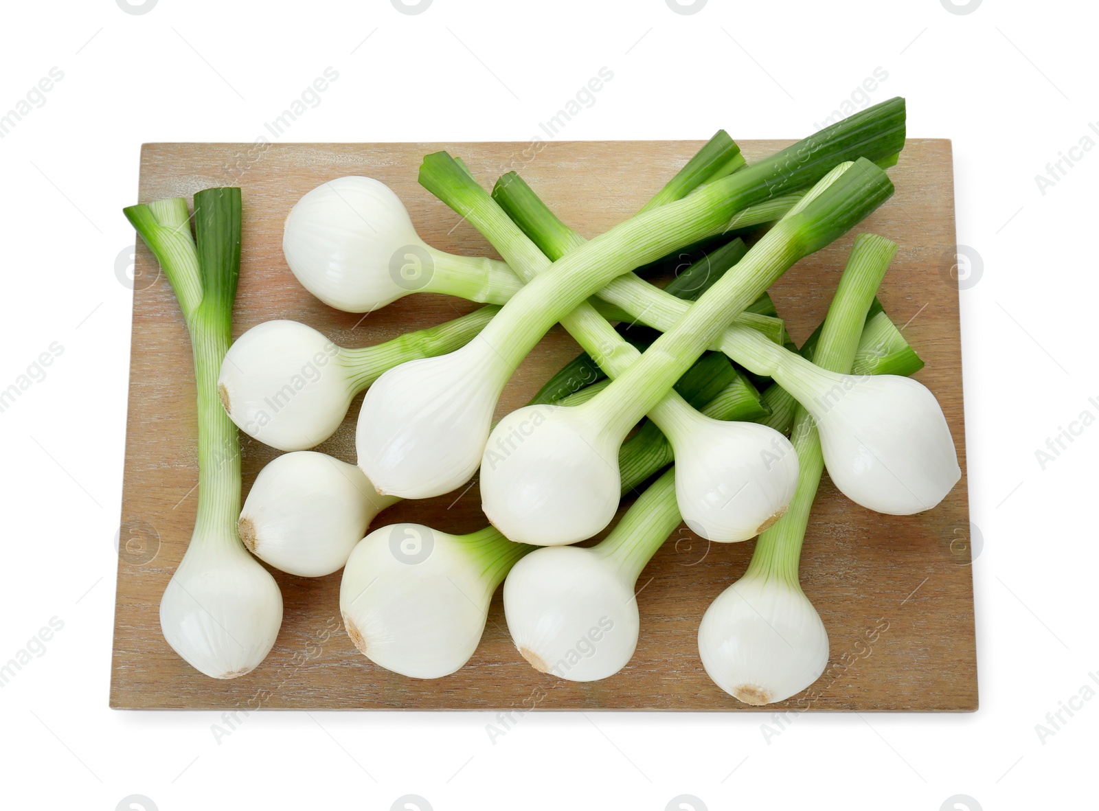 Photo of Whole green spring onions isolated on white, top view