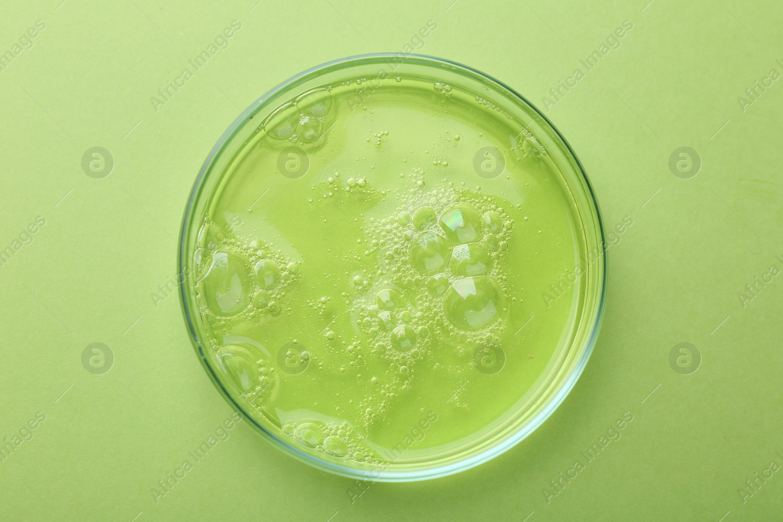 Photo of Petri dish with liquid sample on green background, top view