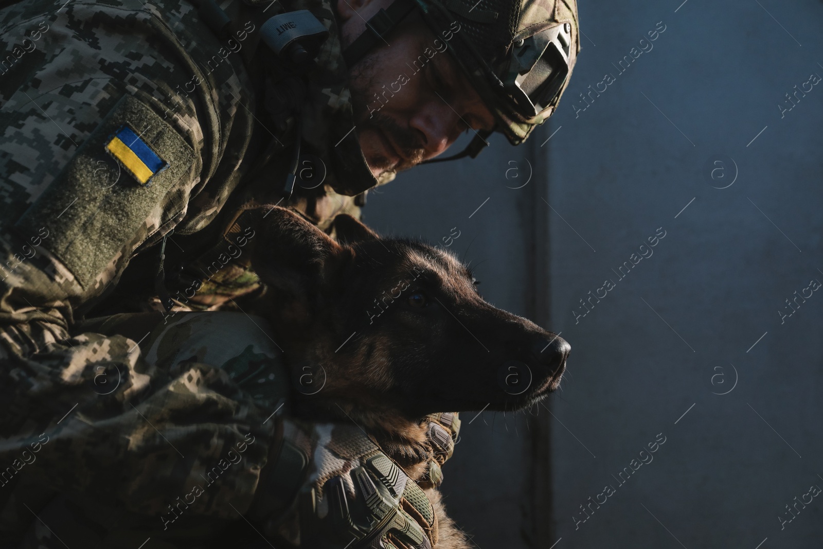 Photo of Ukrainian soldier with German shepherd dog near wall outdoors. Space for text