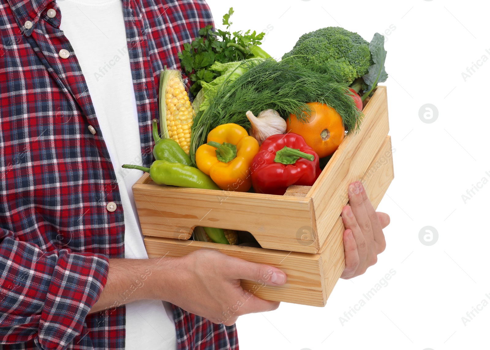 Photo of Harvesting season. Farmer holding wooden crate with vegetables on white background, closeup