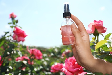 Photo of Woman holding bottle of facial toner with essential oil near rose bush in garden, closeup. Space for text