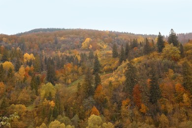 Photo of Beautiful landscape with forest in mountains on autumn day