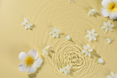 Photo of Beautiful flowers in water on pale yellow background, top view