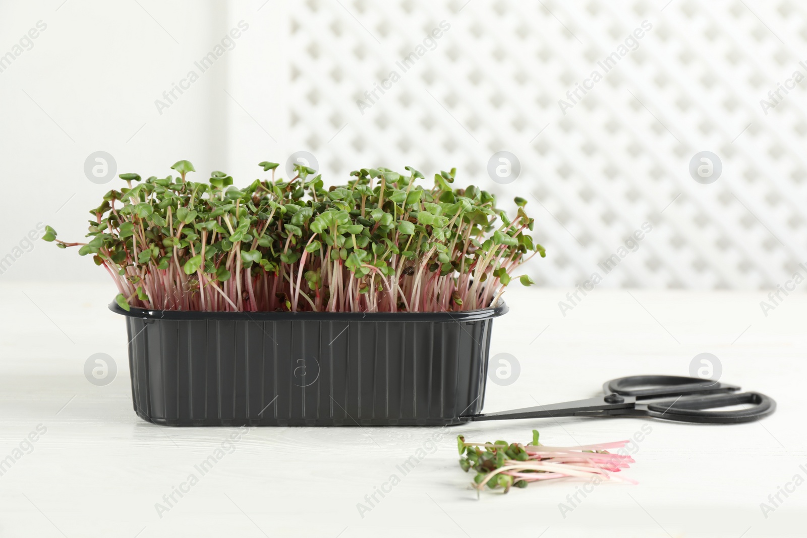 Photo of Fresh radish microgreens in plastic container and scissors on white wooden table