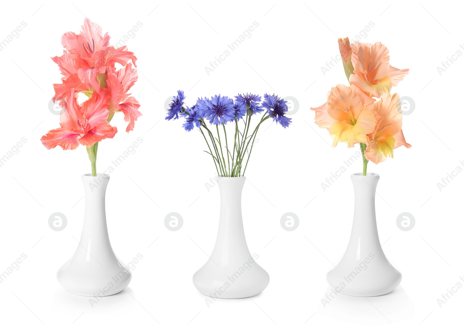 Image of Collage of stylish vase with different bouquets on white background