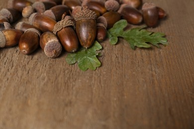 Acorns and oak leaves on wooden table, space for text