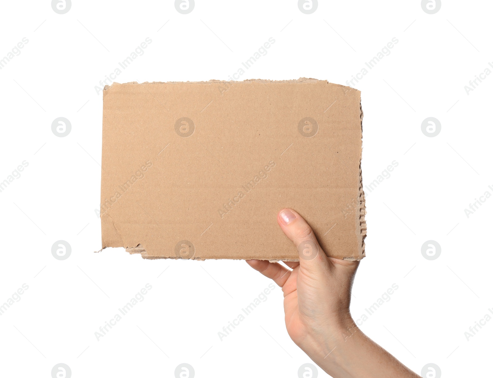 Photo of Woman holding piece of cardboard on white background, closeup. Space for text