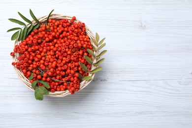 Photo of Fresh ripe rowan berries and leaves in wicker basket on white wooden table, top view. Space for text