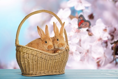 Image of Adorable Easter bunnies in wicker basket on wooden surface outdoors, space for text 