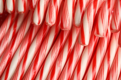 Photo of Many candy canes as background. Festive treat