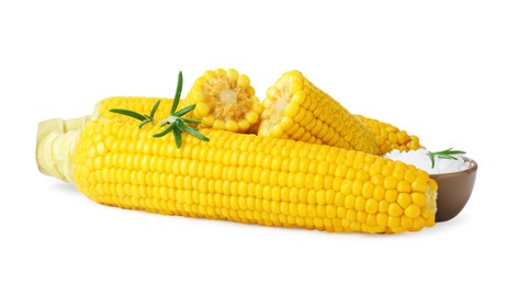 Photo of Tasty cooked corn cobs, rosemary and salt on white background