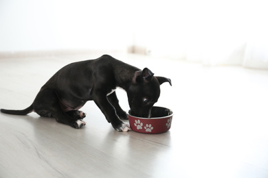 Cute little puppy near feeding bowl indoors. Baby animal