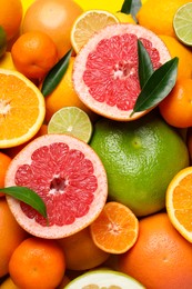 Different ripe citrus fruits with green leaves as background, top view