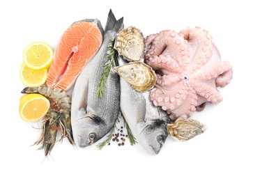 Photo of Fresh dorado fish, octopus, shrimps, oysters and salmon on white background, top view