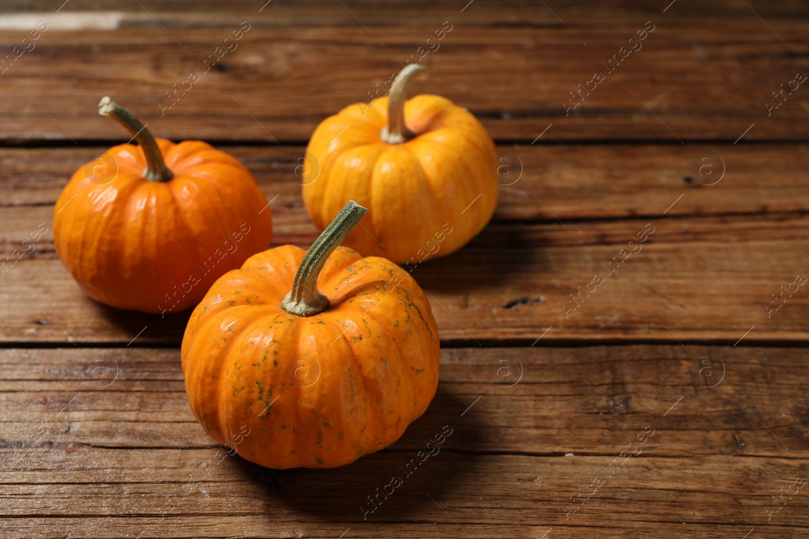 Photo of Thanksgiving day. Pumpkins on wooden table, space for text