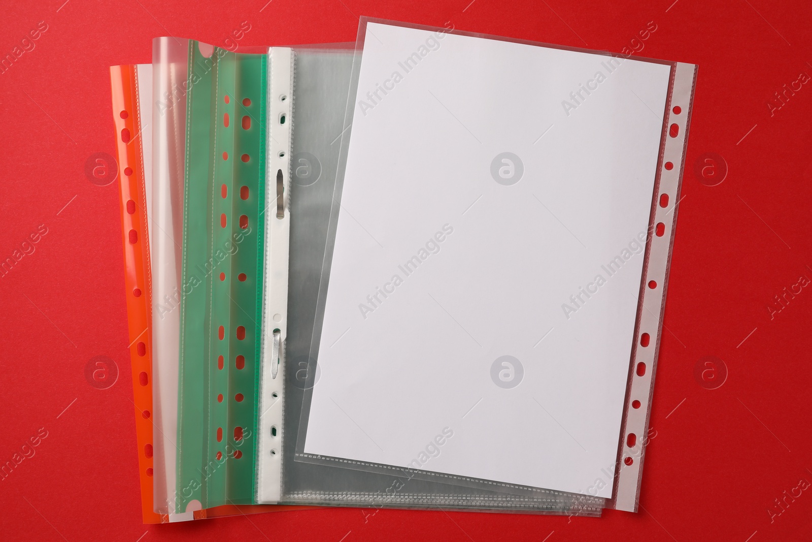 Photo of File folders with punched pockets on red background, flat lay