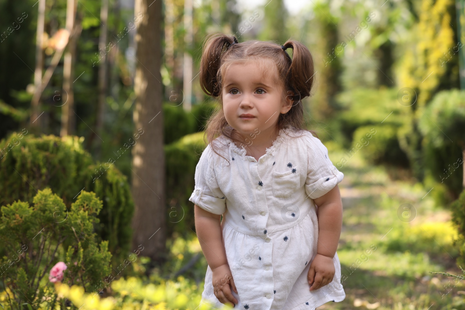 Photo of Cute little girl walking near green plants in park